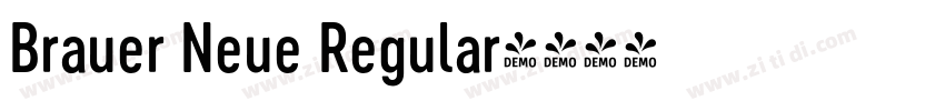 Brauer Neue Regular字体转换